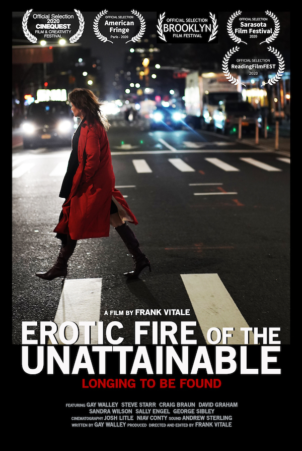 Эротический огонь недостижимого (2020) постер