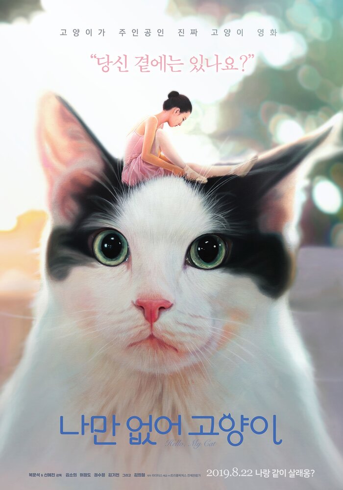 Привет, кот (2019) постер