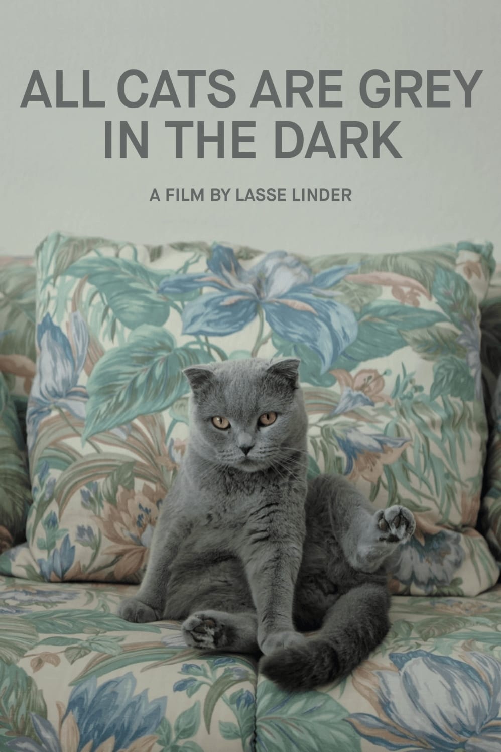 Nachts sind alle Katzen grau (2019) постер