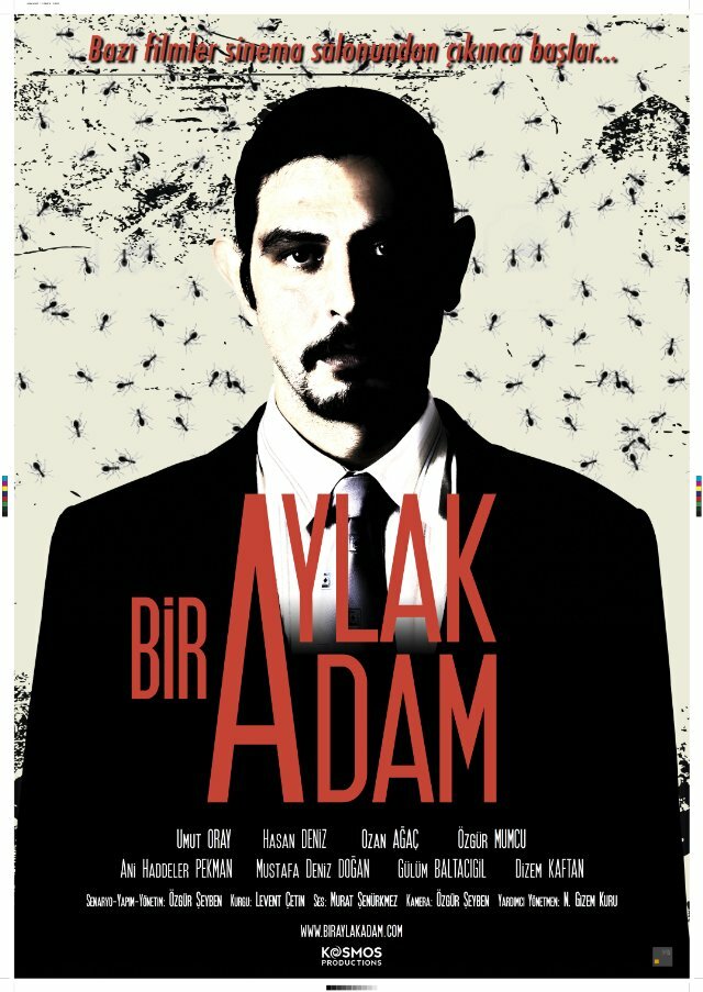 Bir Aylak Adam (2013) постер