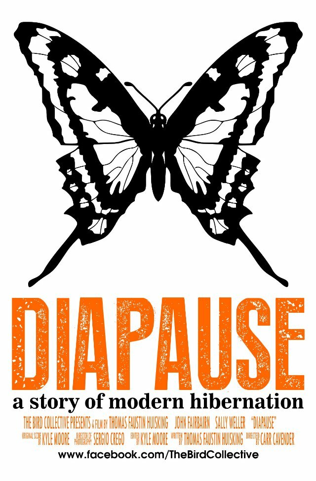 Diapause (2013) постер