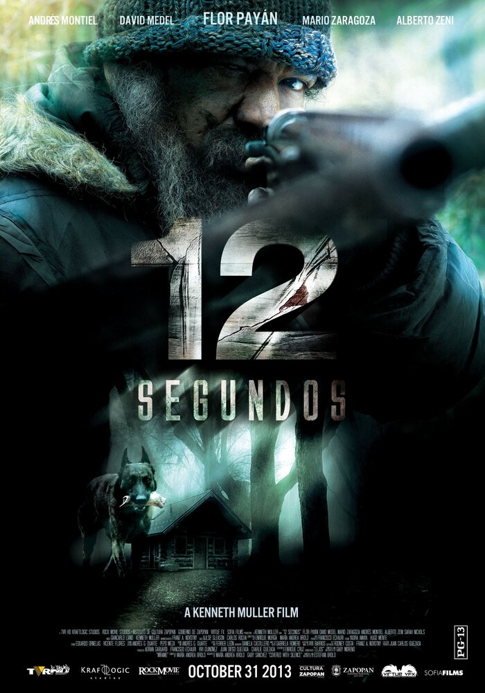 12 секунд (2013) постер