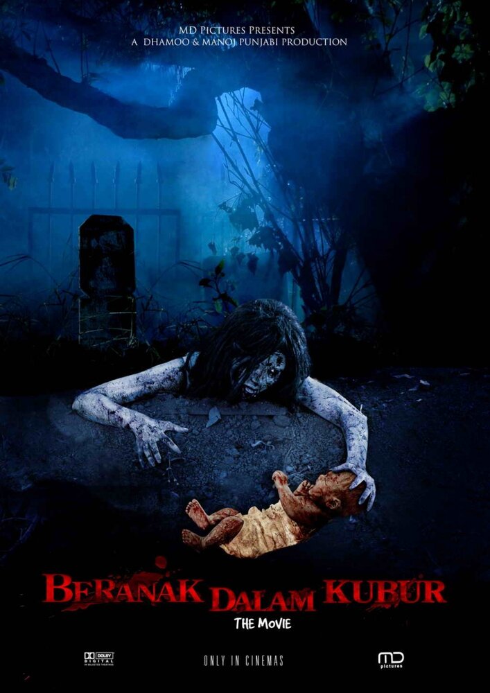 Рождённый в могиле (2007) постер